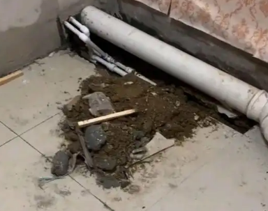 自贡市卫生间漏水检测哪家好