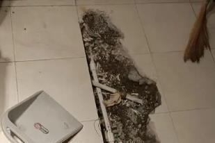 自贡市卫生间漏水检测电话